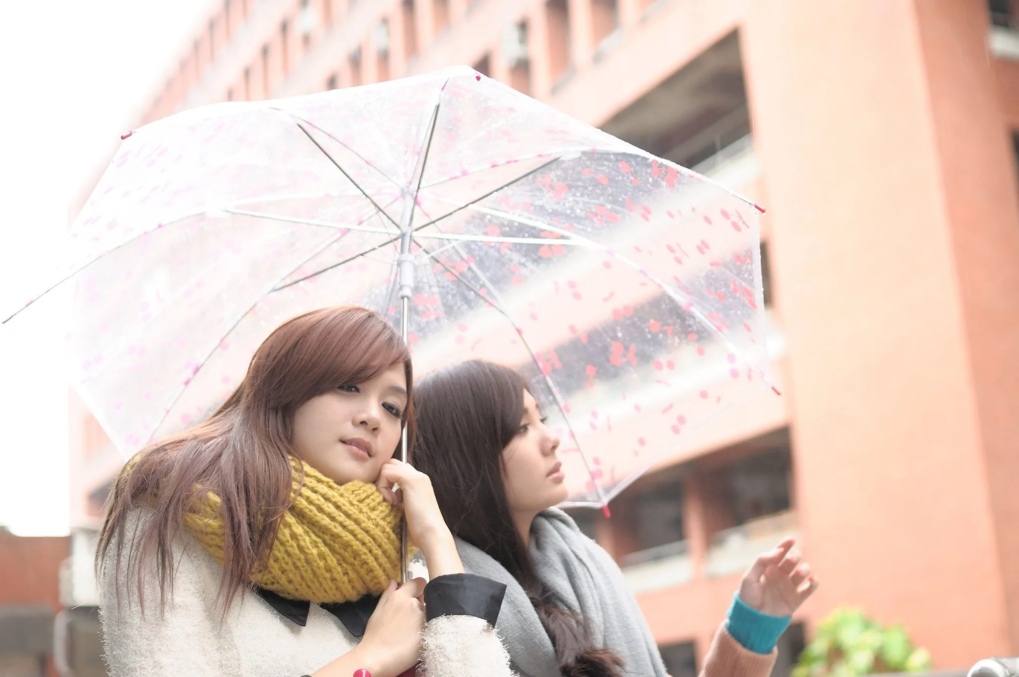 Guoguang Help - Bộ sưu tập ảnh về cá ngừ xinh đẹp và Tsai Hsiao-Chieh - 39